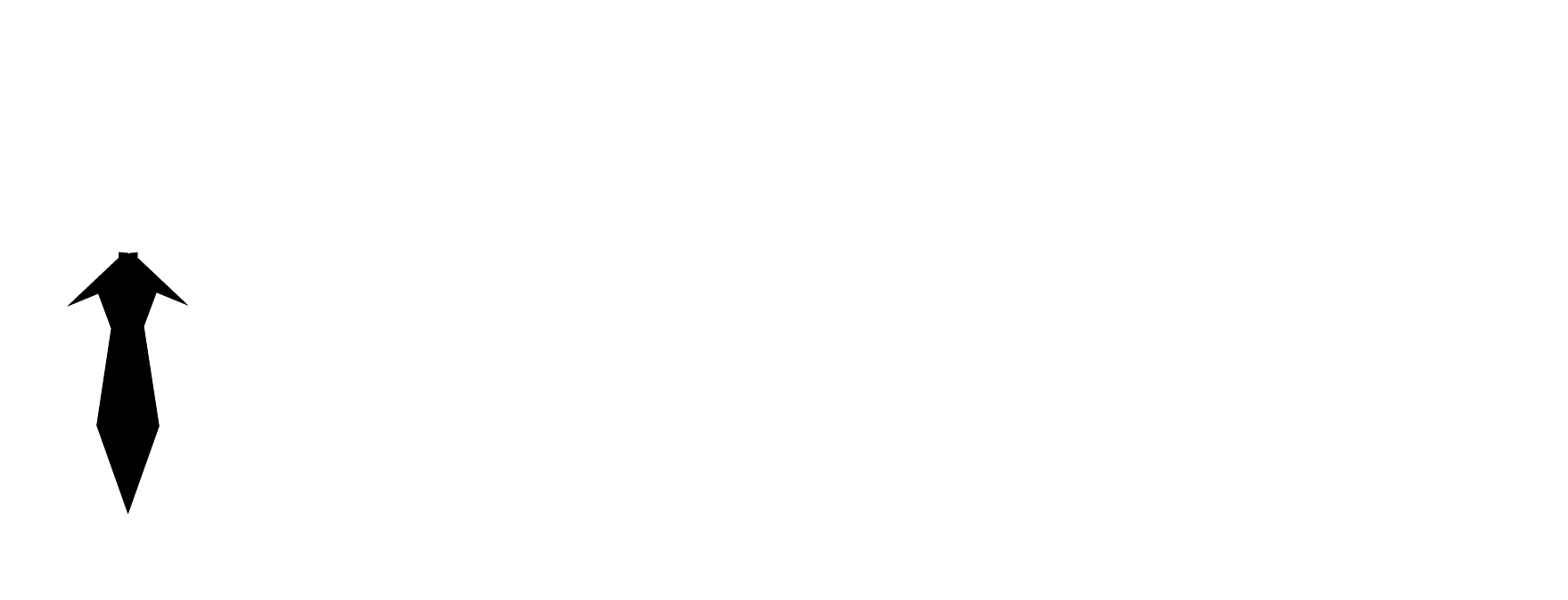 Enigma Consultores